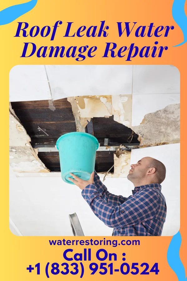 Roof Leak Water Damage Repair in Mount Sterling, WI
